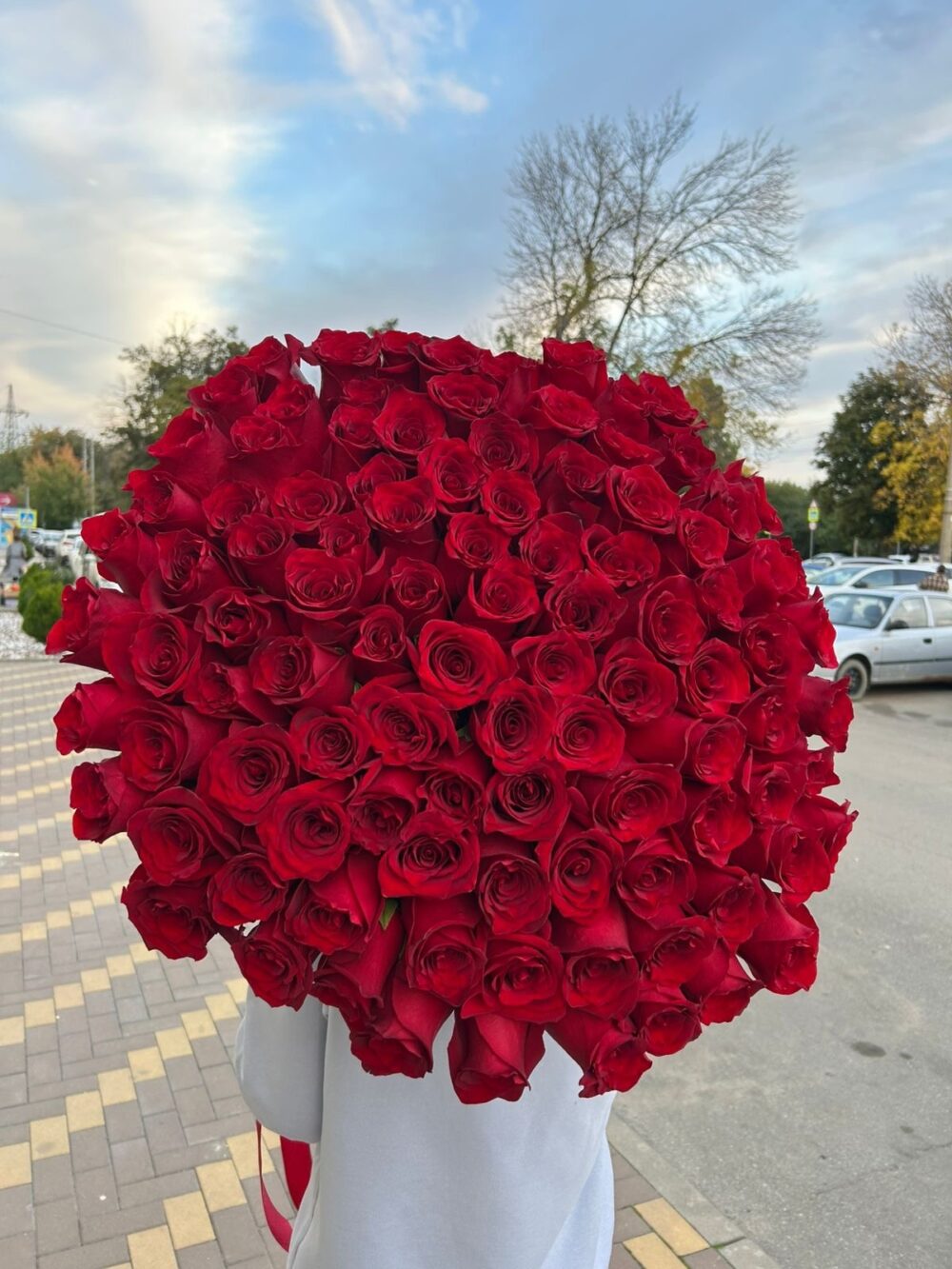 101 красная голландская роза 80см