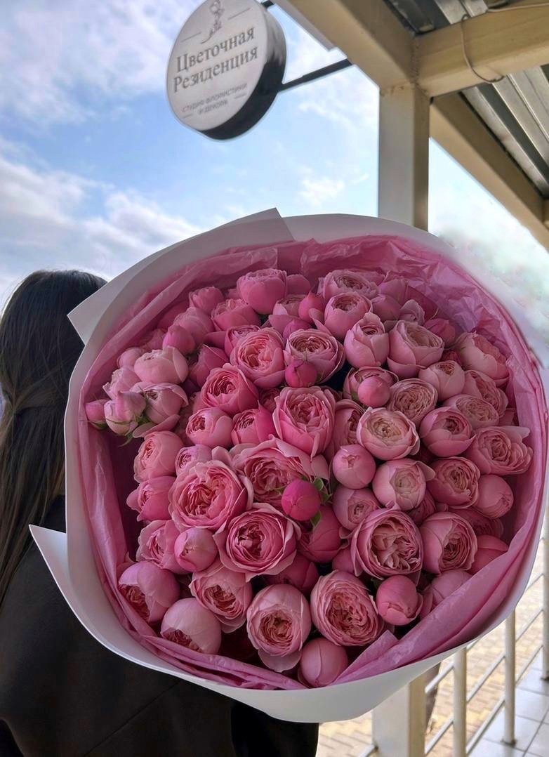 Премиальный сорт кустовых пионовидных роз Silva Pink